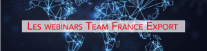 Webinaire Team France Export